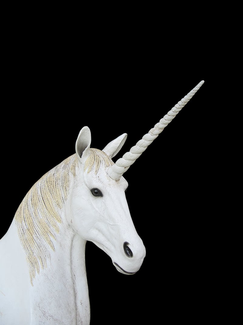 Mystical Unicorn